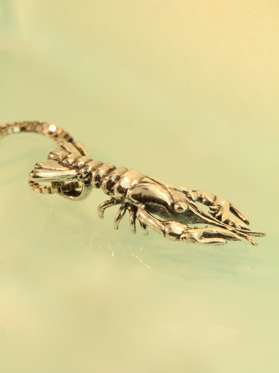 Crawfish, Crayfish, Crawdad or Lobster? - 14K gold